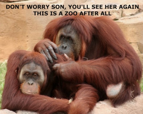 Don't worry son