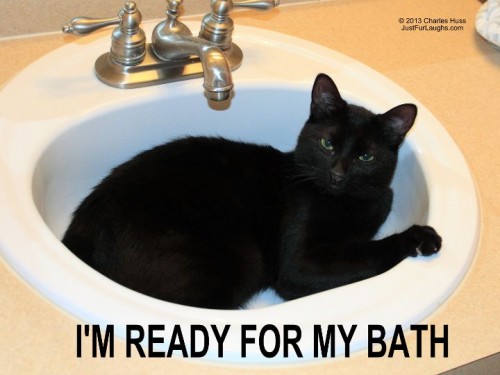 I'm Ready For My Bath