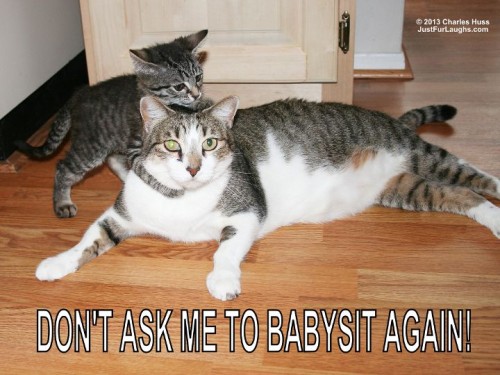 Don't Ask Me To Babysit Again!