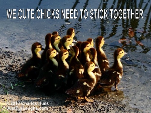 We cute chicks need to stick together
