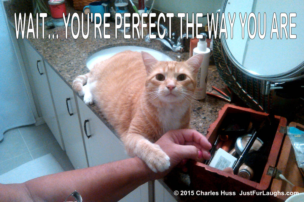 Cat saying "you're perfect just the way you are"