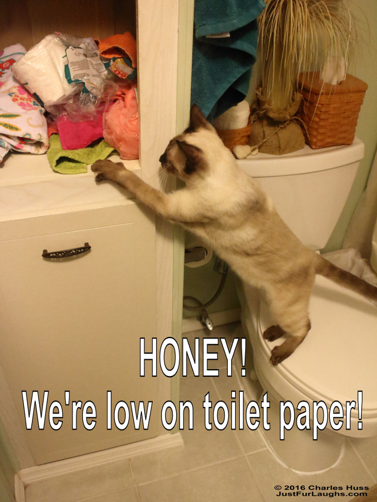 low-on-toilet-paper