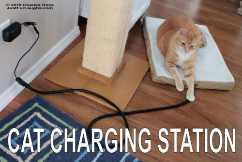 Cat charging station