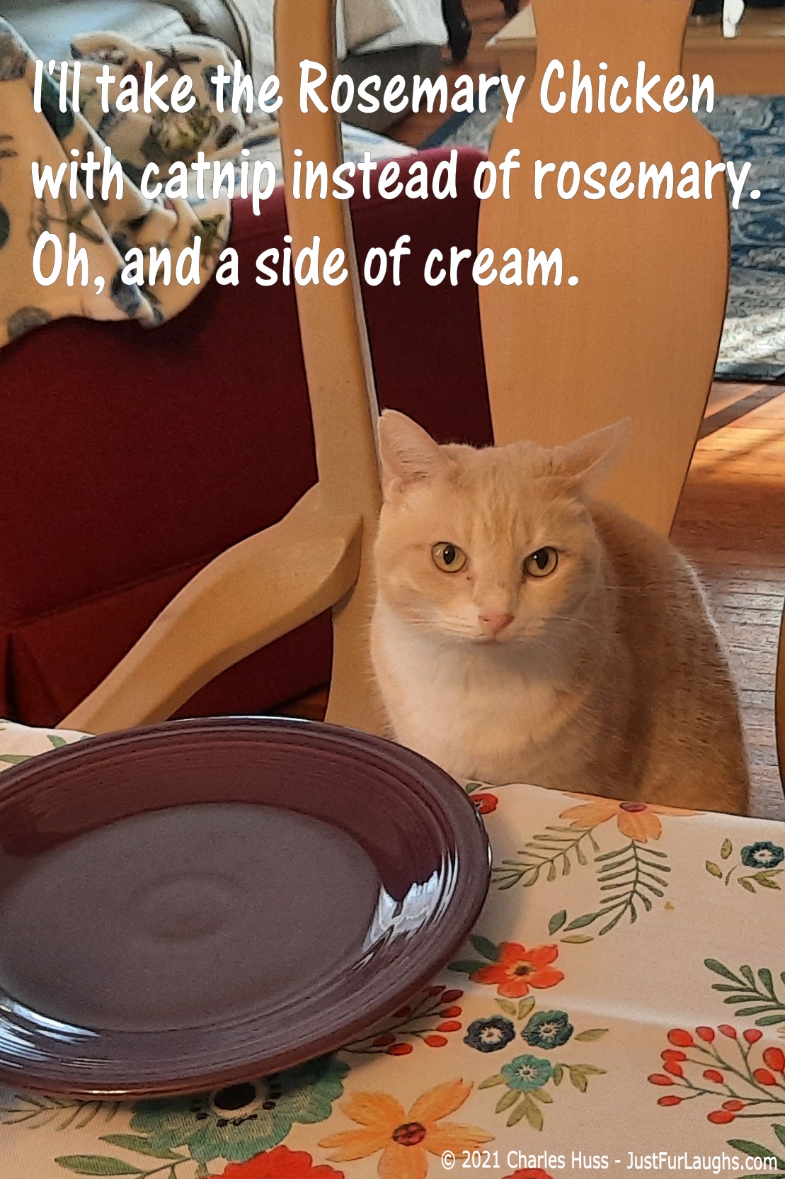 Catnip Chicken Just Fur Laughs